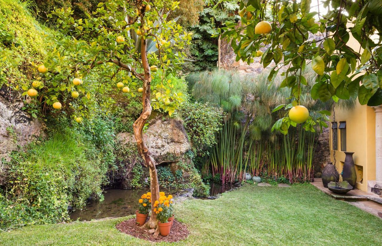 La Siranda Casa Hotel Patzcuaro Luaran gambar